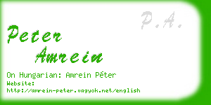 peter amrein business card